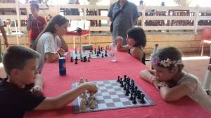 Takimet e shahut
